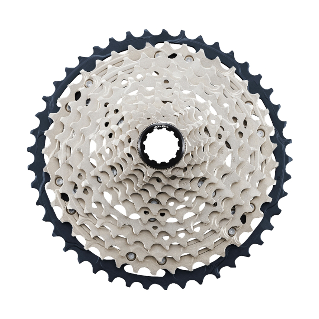 12 speed chain on 10 speed cassette